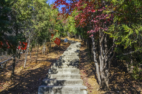 登山步道高清大图