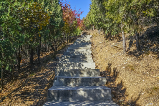 登山步道高清大图