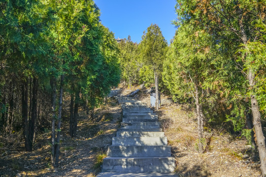 登山步道高清大图