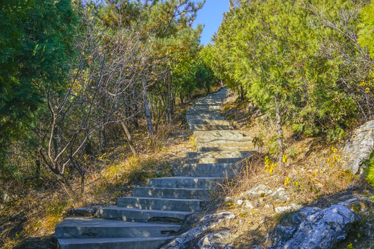 登山步道高清大图