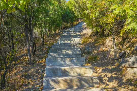 登山步道高清大图