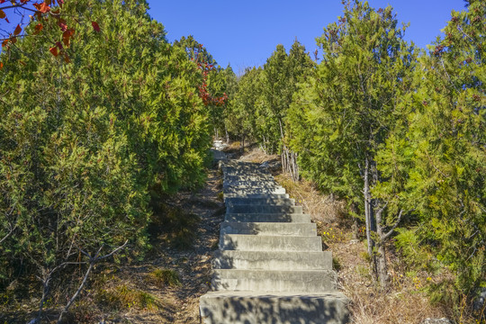 登山步道高清大图