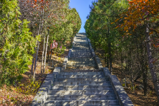 登山步道高清大图