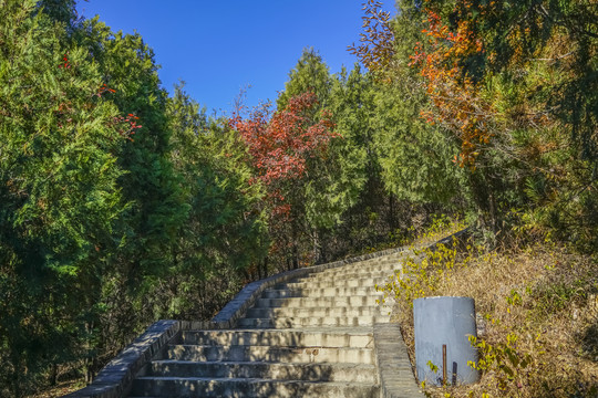 登山步道高清大图