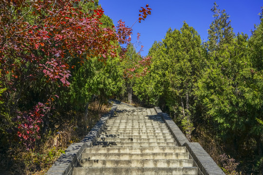 登山步道高清大图