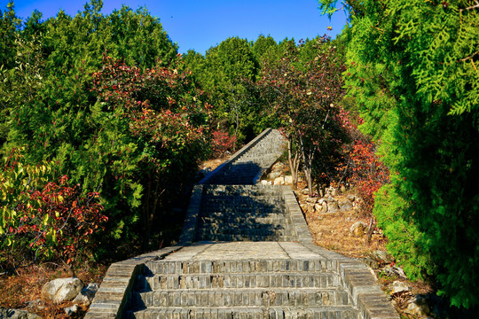 登山步道高清大图