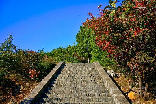 登山步道高清大图