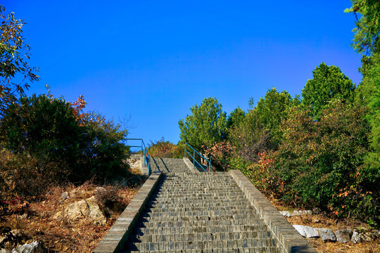 登山步道高清大图