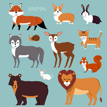 动物插画图片