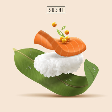 寿司动感素材