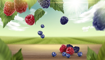 莓果农田背景素材