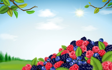 综合莓果果实集合