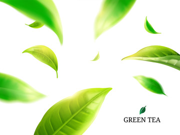 极简绿茶饮海报模板