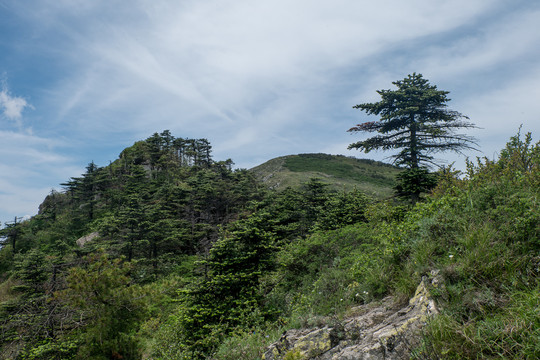 柞水牛背梁山顶