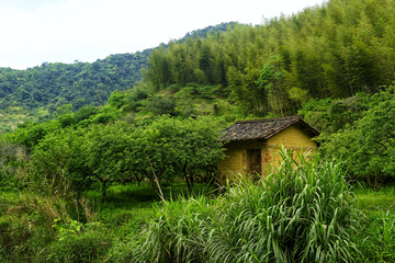 山中小屋