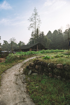 乡村小道