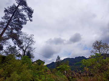 大山风景