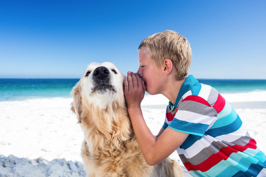 可爱的男孩在海滩上对他的狗低语