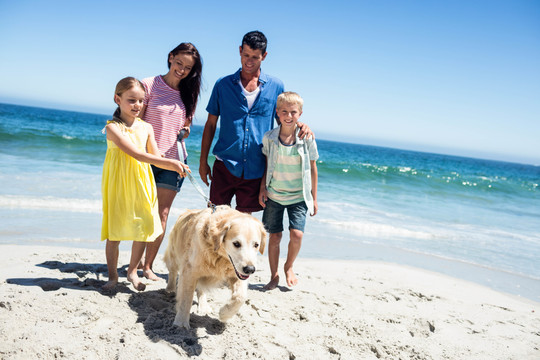 可爱的一家人在海滩上遛狗