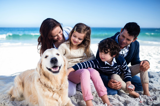 可爱的一家人在海滩上爱狗