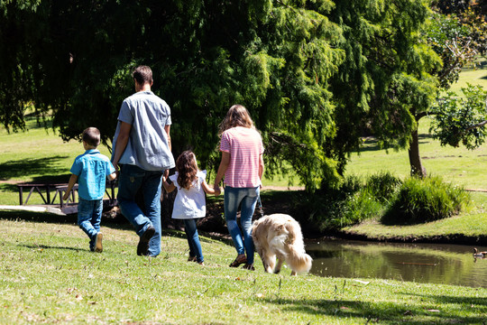 一家人和他们的狗在公园散步