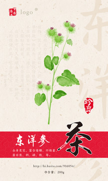 東洋參茶包裝