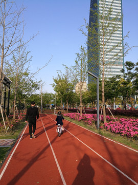 杜鹃花盛开季节的市民公园