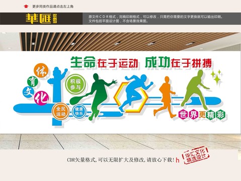 體育文化
