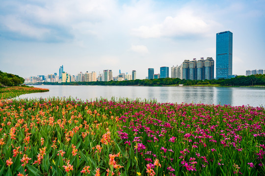 南宁南湖风光沿岸建筑群