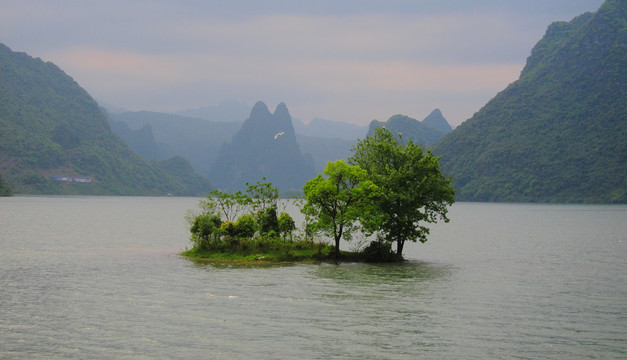 金鸡河