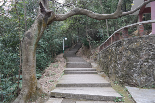 圭峰山大理石台阶