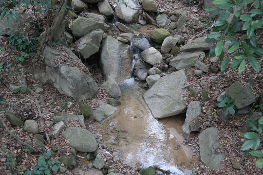 圭峰山山泉