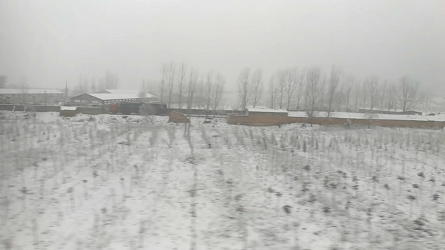 視頻高鐵外的雪地