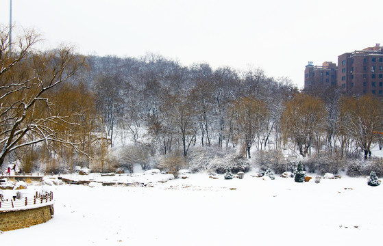 鞍山孟泰公园孤岛山林雪挂雪景