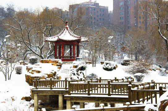 鞍山孟泰公园孤岛凉亭石桥雪景