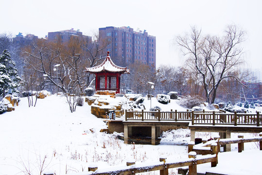 鞍山孟泰公园孤岛凉亭石桥雪景