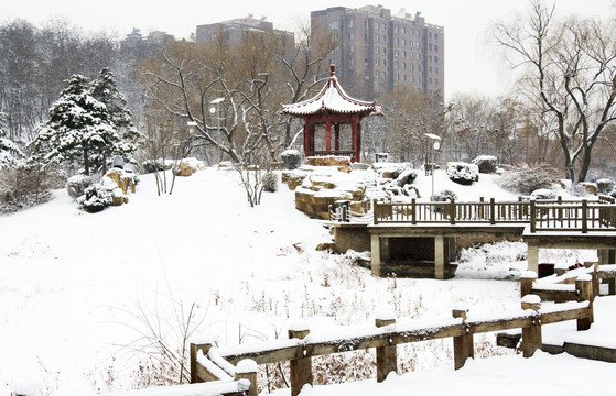 鞍山孟泰公园孤岛凉亭石桥雪景