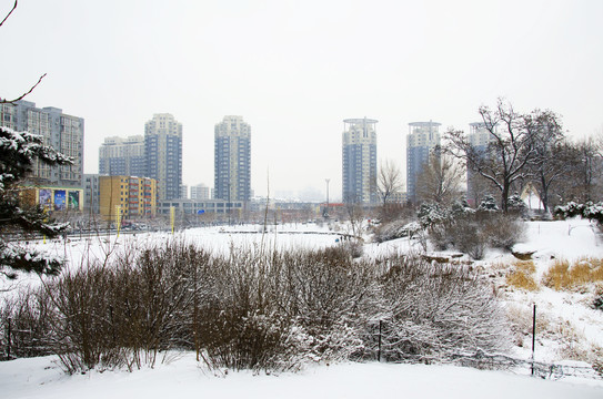 鞍山孟泰公园湖面雪地住宅建筑群