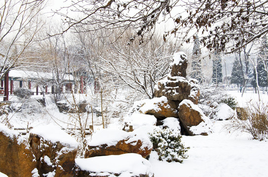 鞍山孟泰公园假山廊亭雪挂雪景