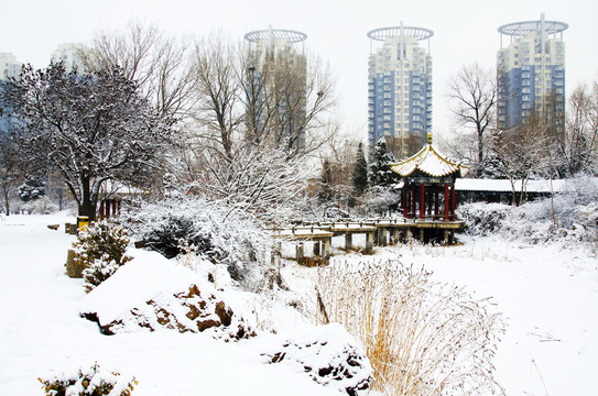 鞍山孟泰公园廊亭石桥住宅雪挂