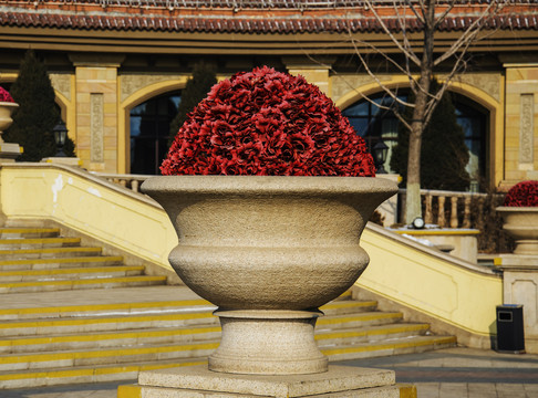 石制花盆与红色的半球状鲜花