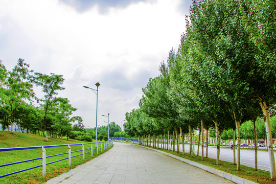 鞍山万水河石砖路与路边树木