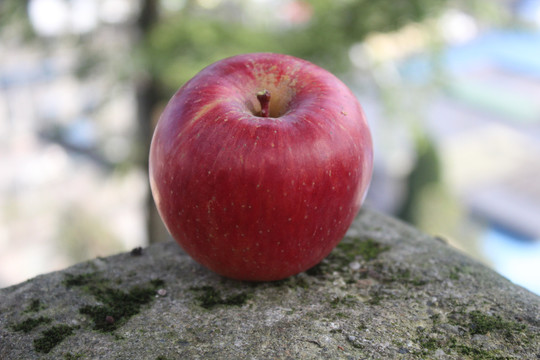 苹果水果摄影外景