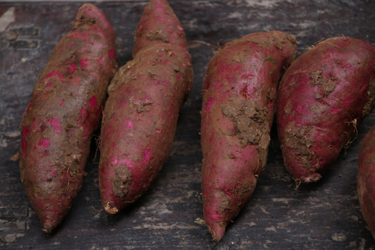 紫薯红薯地瓜番薯红苕