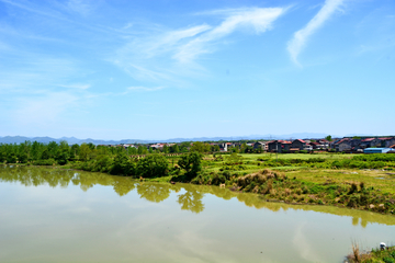 茶陵洣水风光