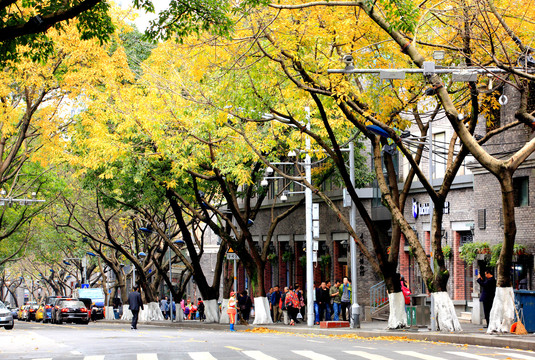 重庆中山四路街景