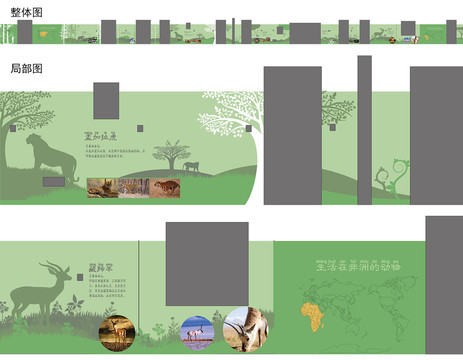 校園動物世界主題墻