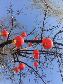 大红灯笼高高挂