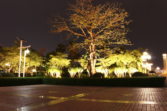 深圳市龙城广场数目夜景