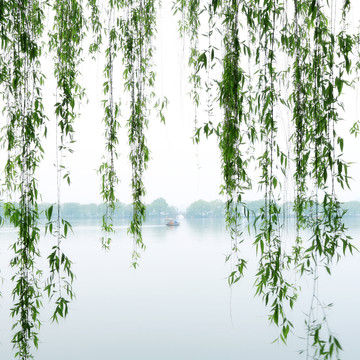 春雨西湖